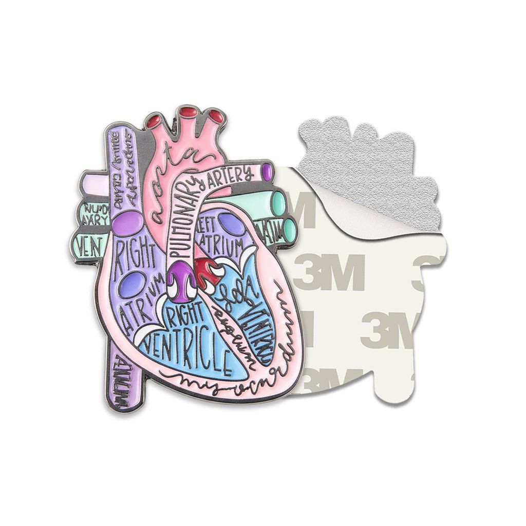 Anatomical Heart Diagram Metal Phone Sticker With 3M Sticky Backing - StickyPins