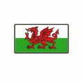 Wales Flag Red Dragon Metal Phone Sticker With 3M Sticky Backing